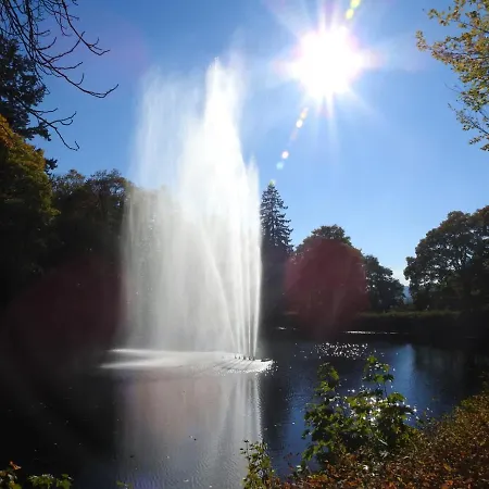 Sonja * Sankt Andreasberg