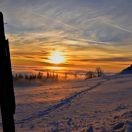 Sonja * Sankt Andreasberg