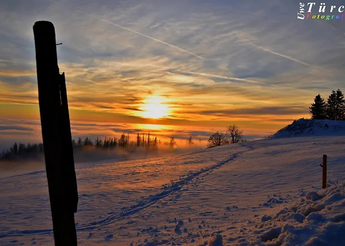 Sonja * Sankt Andreasberg